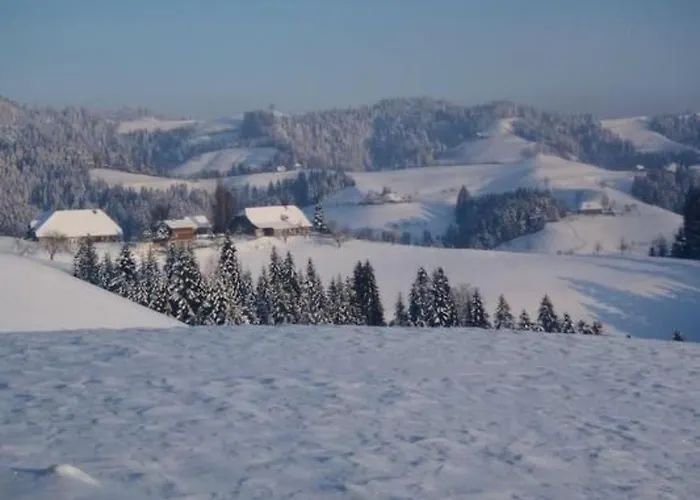 Bauern-spycher By Interhome Holiday home *